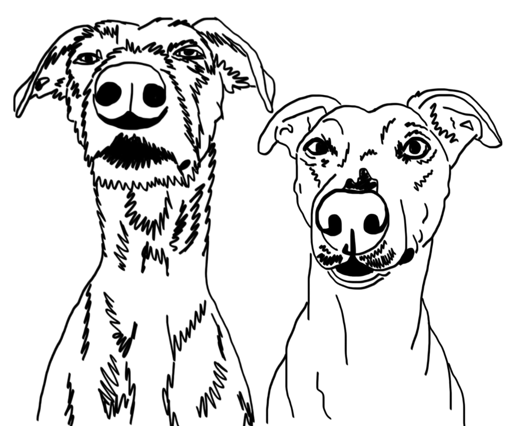 • Sustainable clothing range • Personalised item's • Pet themed gifts. 