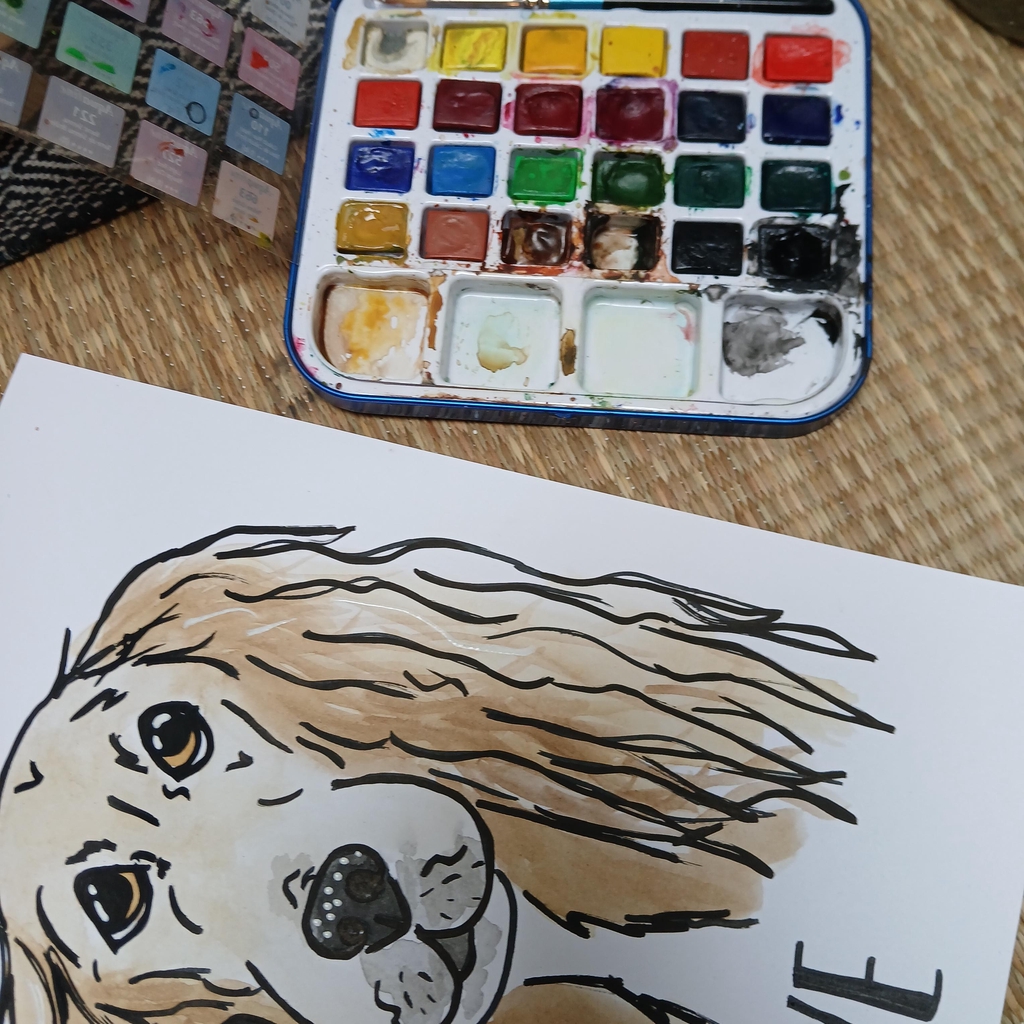 Pet Caricatures 