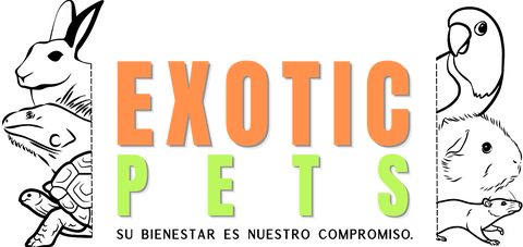 store_logo