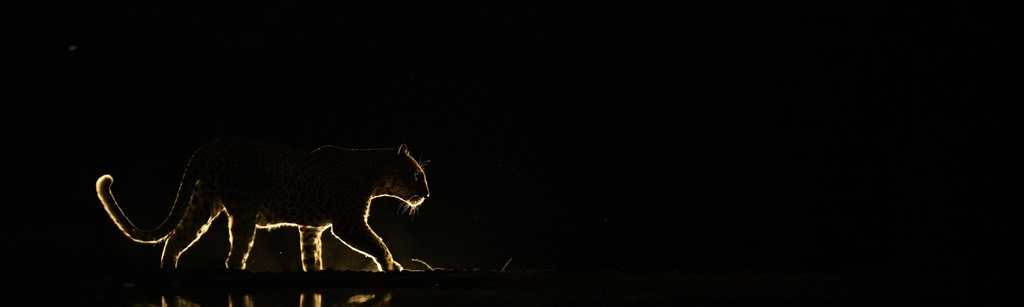 Anne-Marie Etienne Photographie
Boutique en ligne