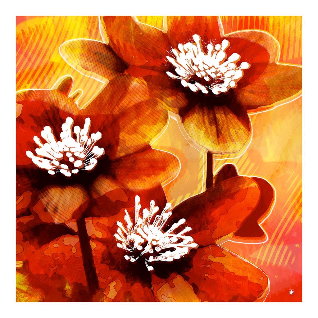 product_list_image_cover