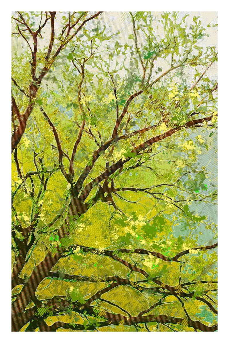 Creations originales sur papier photo à encadrer, format portrait