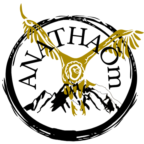 CONCEPT STORE BIEN-ÊTRE