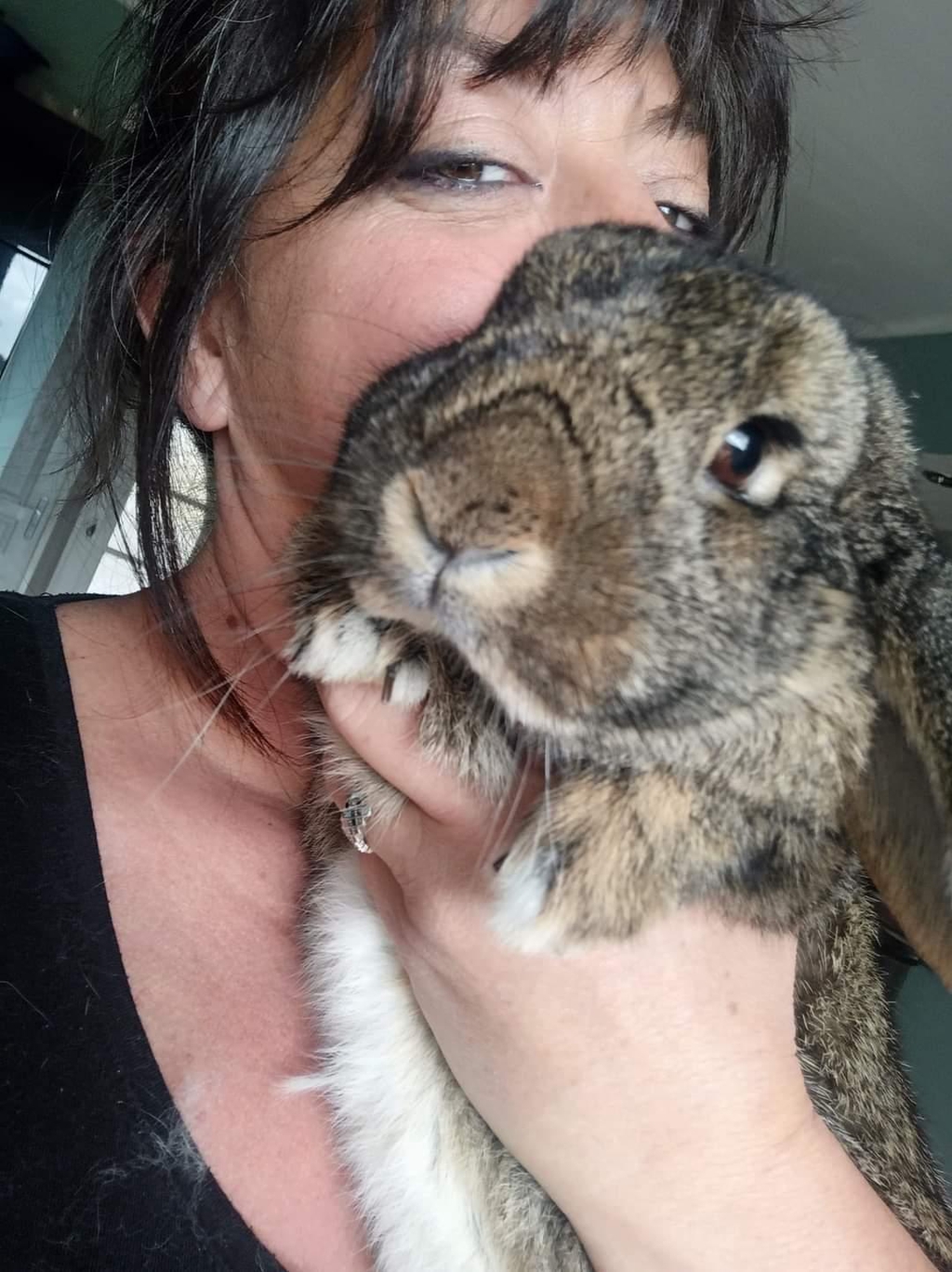 Moi c'est Séverine, gérante officielle de La Coloc'des Grandes Oreilles depuis 2021.

Une pension 5 étoiles ✨ pour Lapins exigeants.

Tout a commencé avec mes deux colocataires à poils, Bounty mon lapin bélier et Michel mon angora. J'ai une passion !! Le bricolage, donc J'ai décidé de faire un râtelier/litière rien que pour eux (parce que bon, ils méritaient mieux qu'un bac en plastique). Une amie a adoré, m'a dit "Fais m'en une ! " et voilà j'étais lancée sans le savoir dans une double vie de brico/lapino-preneuse. Depuis, ca scie, ca visse et ca papouille du lapin !! 😅