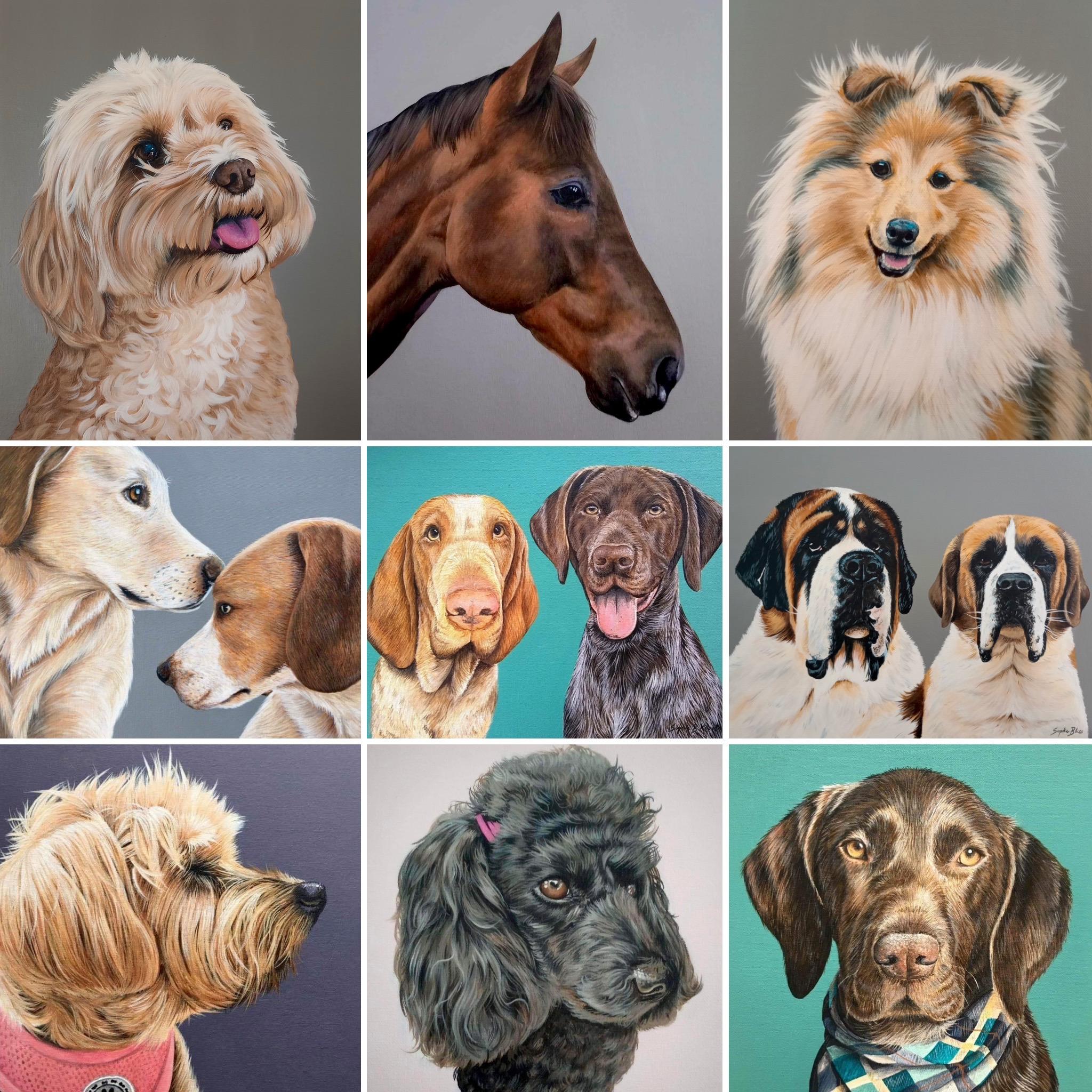 Pet Portraits