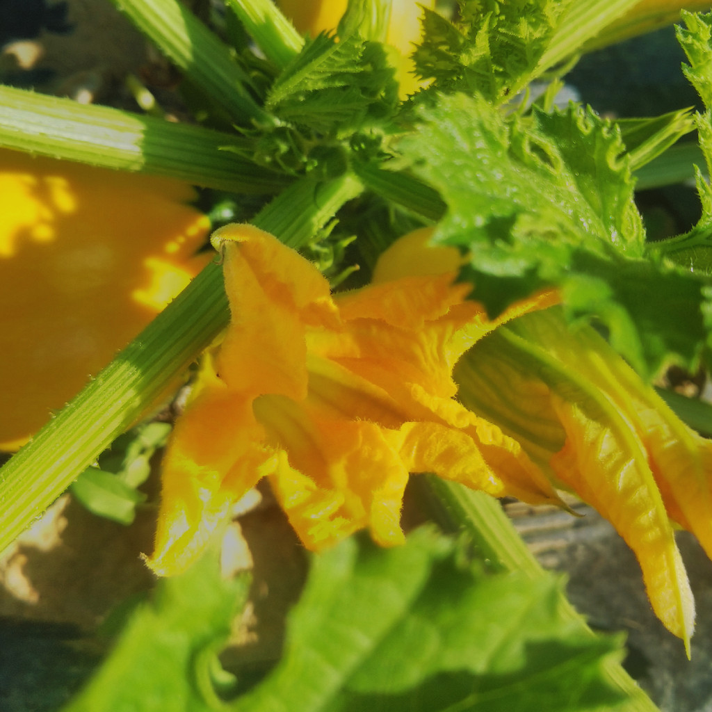 banner_image