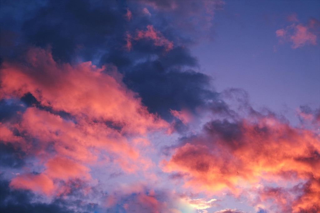 banner_image