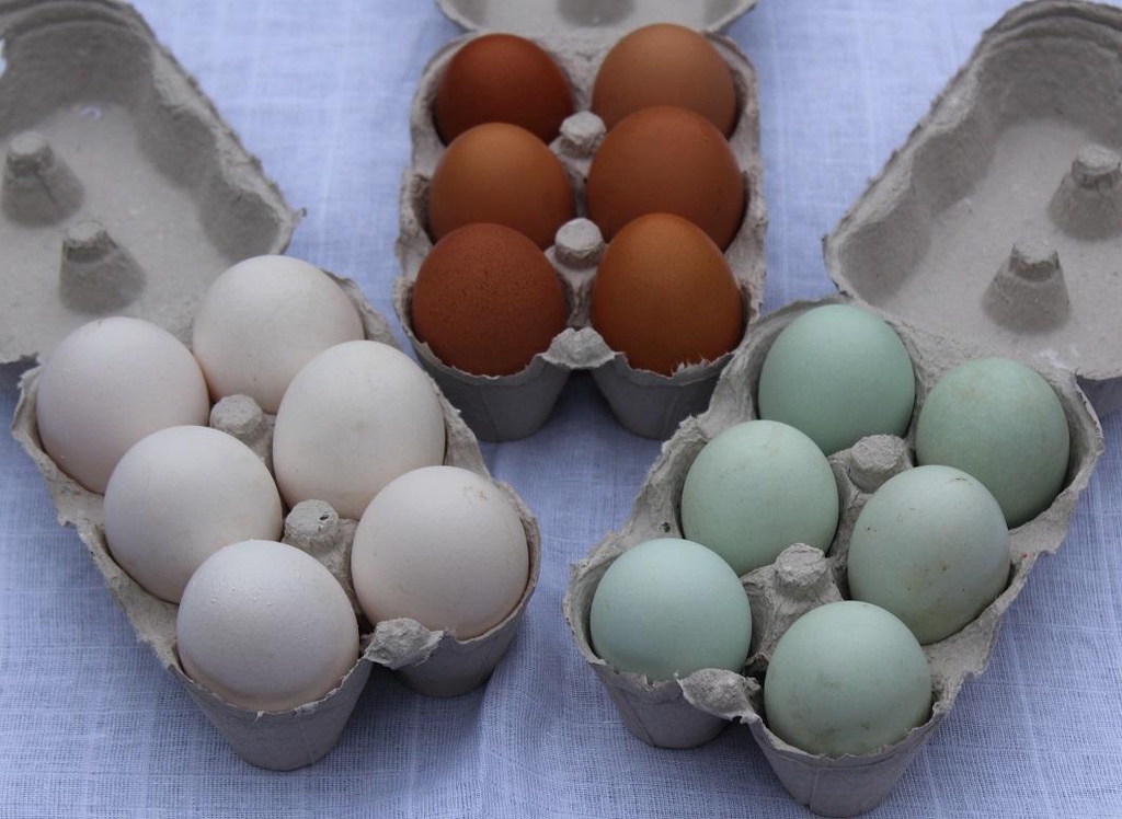 product_list_image_cover