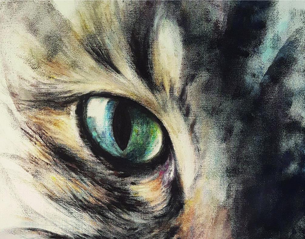 Dessinatrice, artiste peintre et portraitiste à Limoges