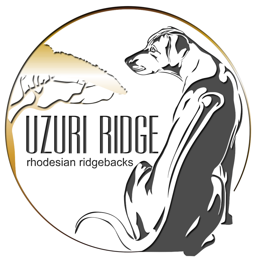 www.uzuriridge.pl