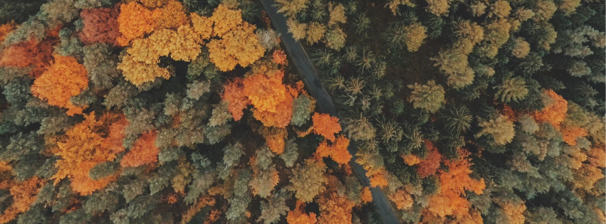 banner_image