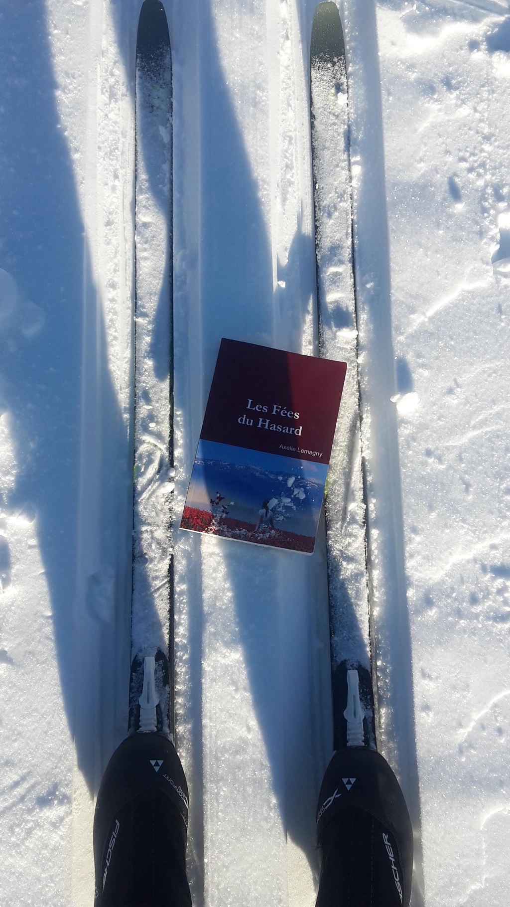 Les Lecteurs autour du monde