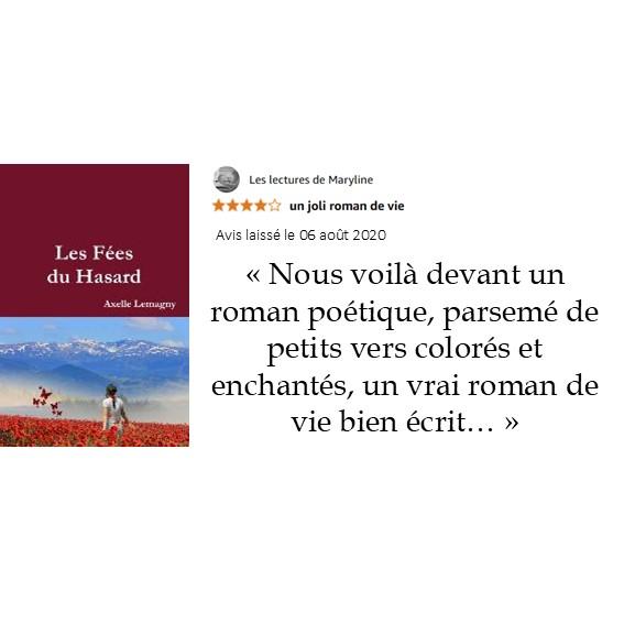 Les Fées du Hasard, avis d'un lecteur