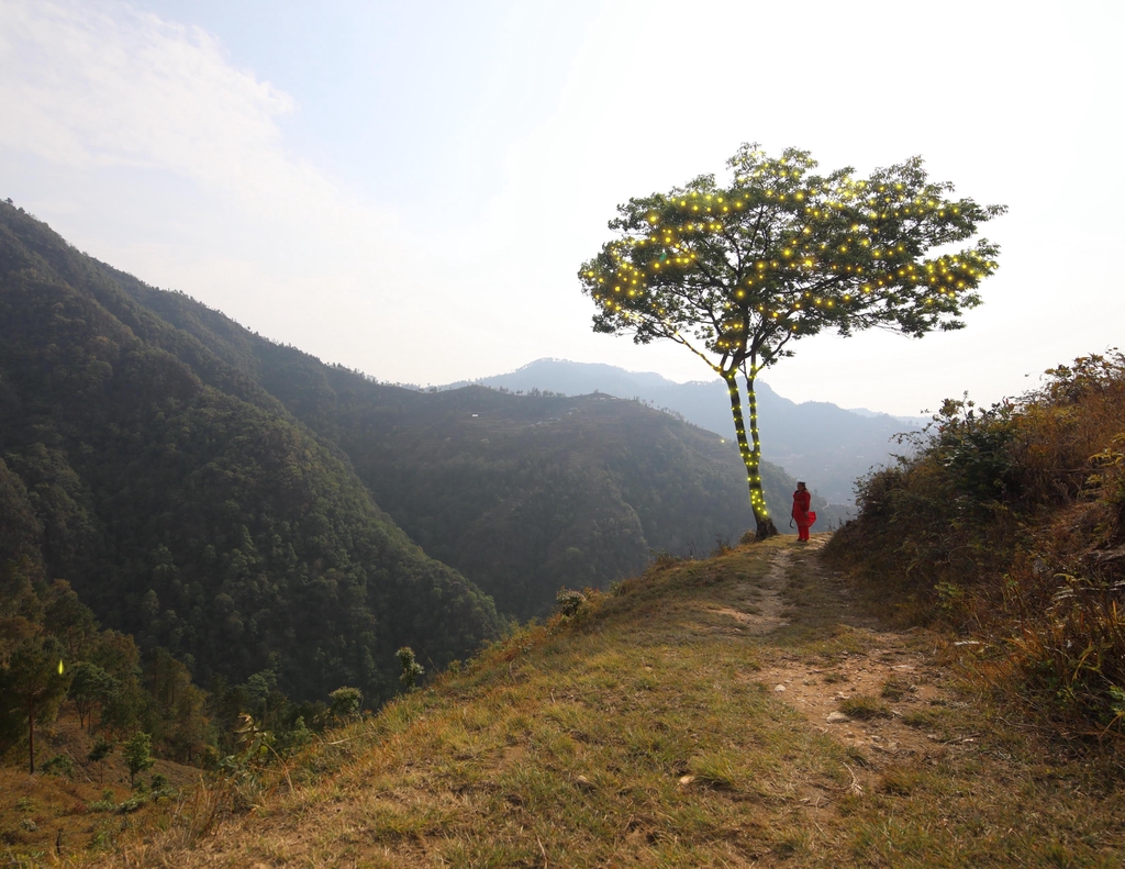 


Gift a tree for a loved one