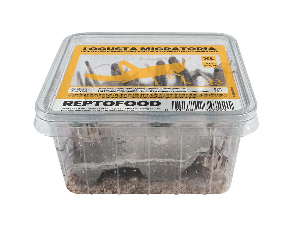 product_list_image_cover