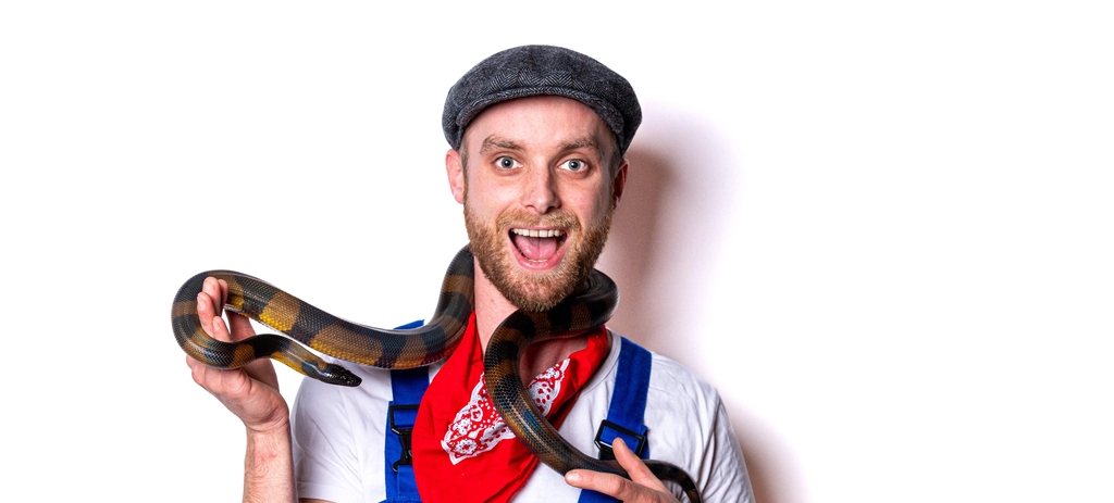 Banner image