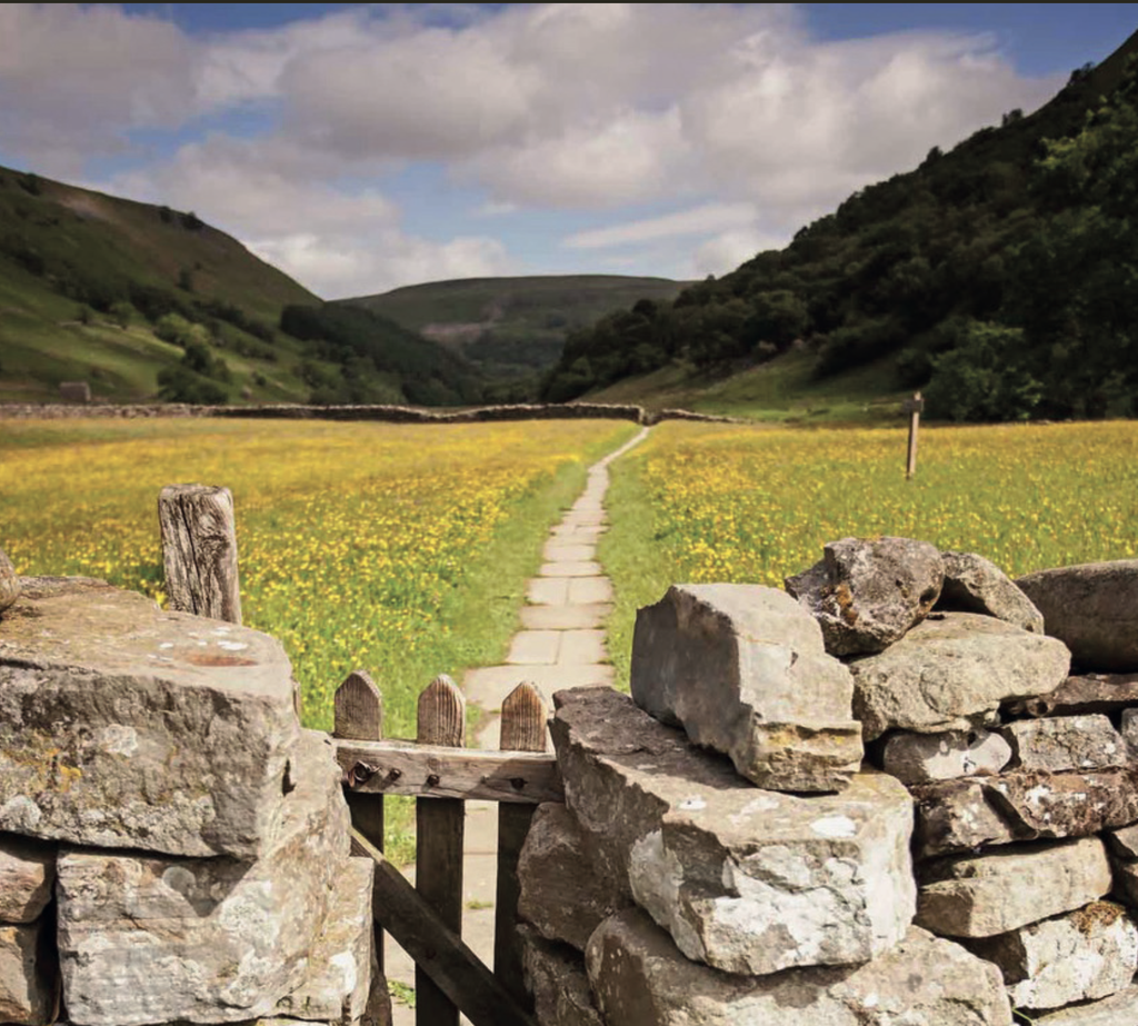 Muker meadows, in Upper Swaledale