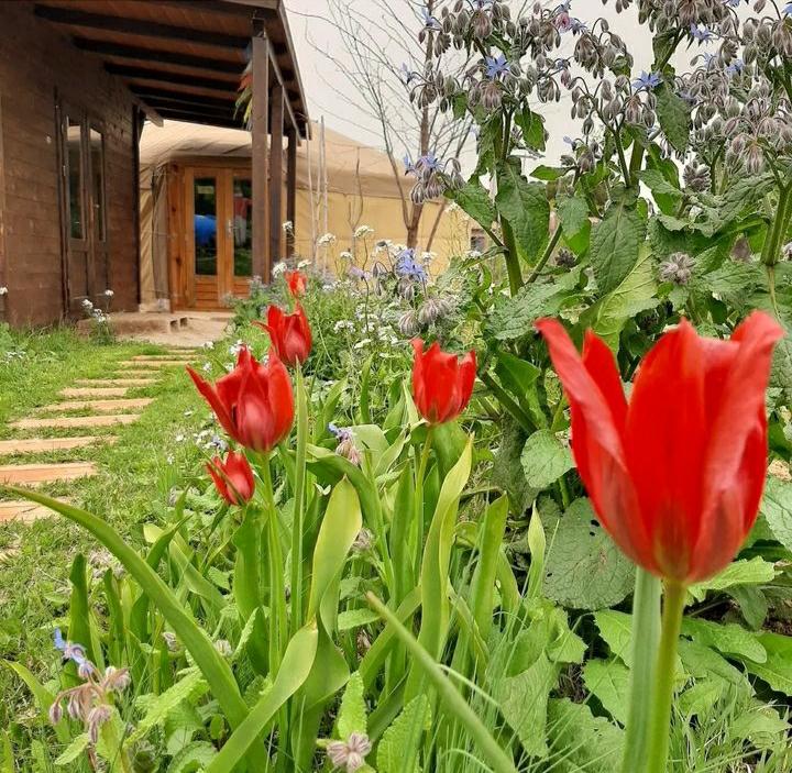 Tessitura e vita in campagna