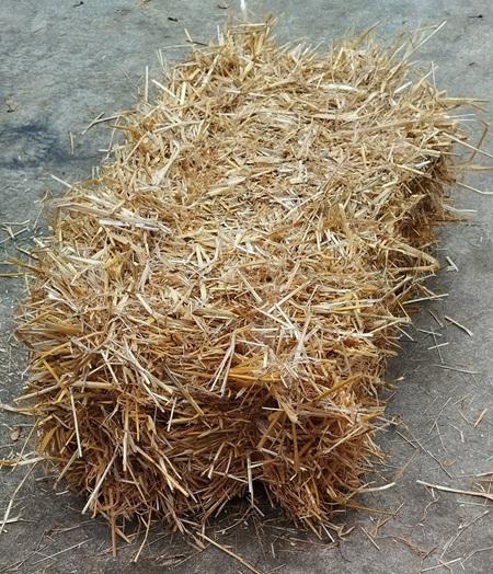 Litières & Paillages pour Animaux et Jardin | Graineterie du Cotentin