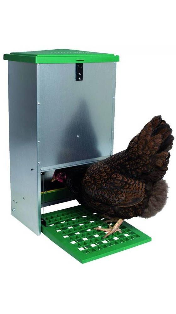 🐓🧰 Équipement et Élevage