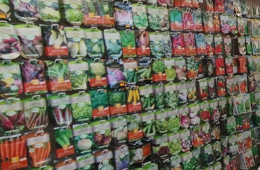 Graines de légumes en sachets pour le potager