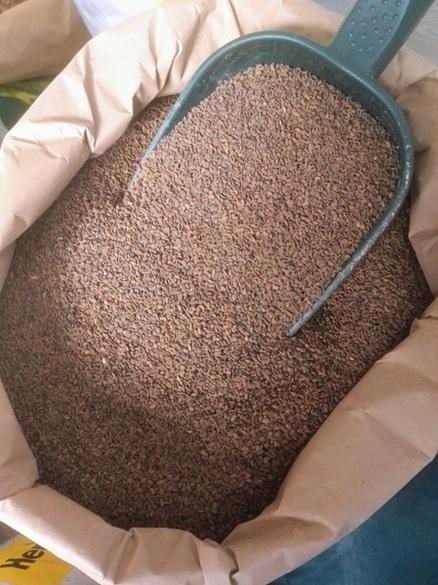 Vente de Grains et Semences en Vrac