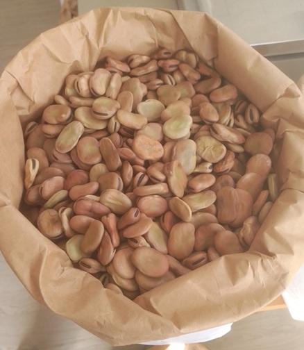 Graines de légumes en vrac : Semez votre propre potager