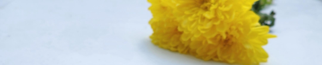 banner_image