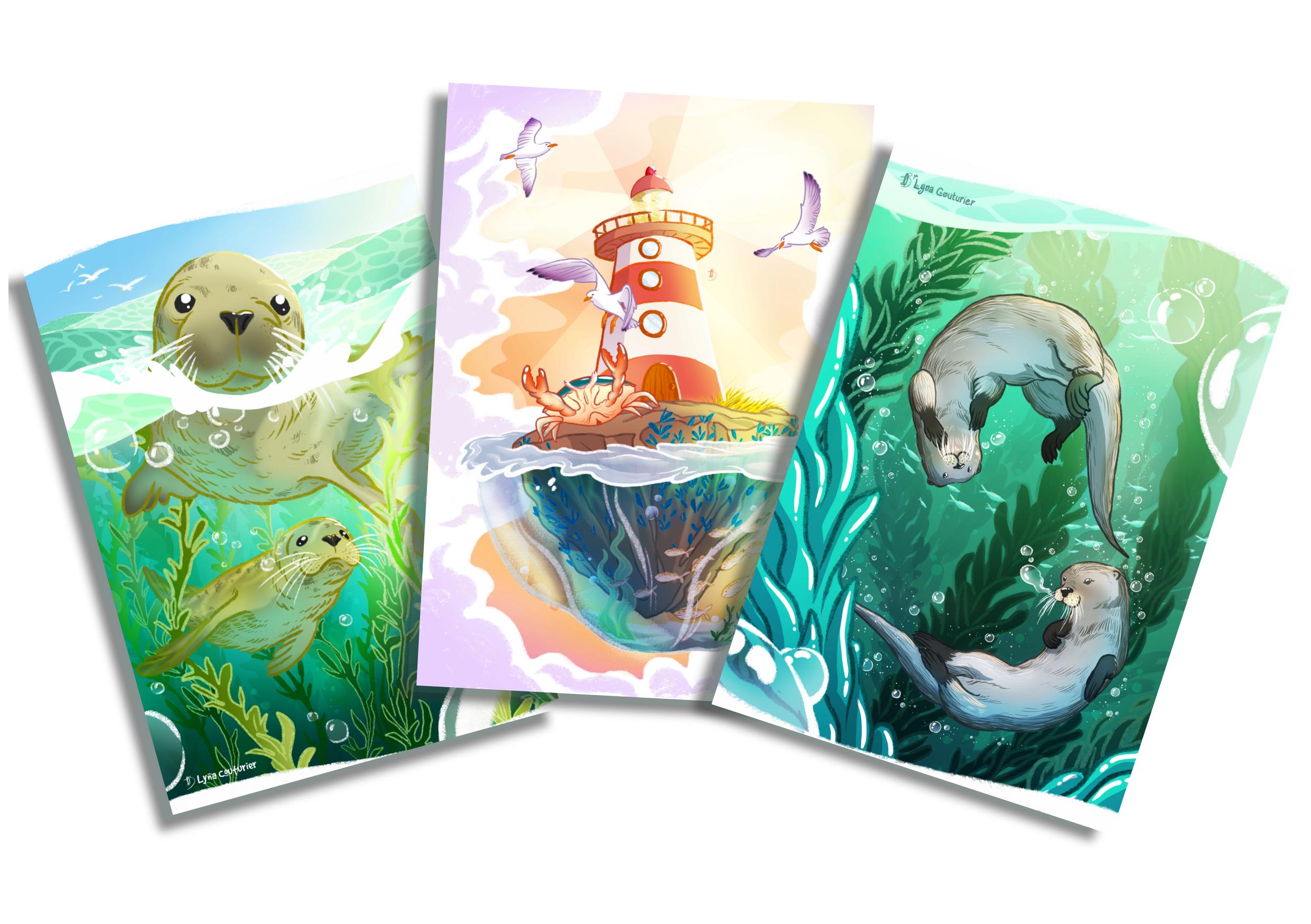 Cartes A5