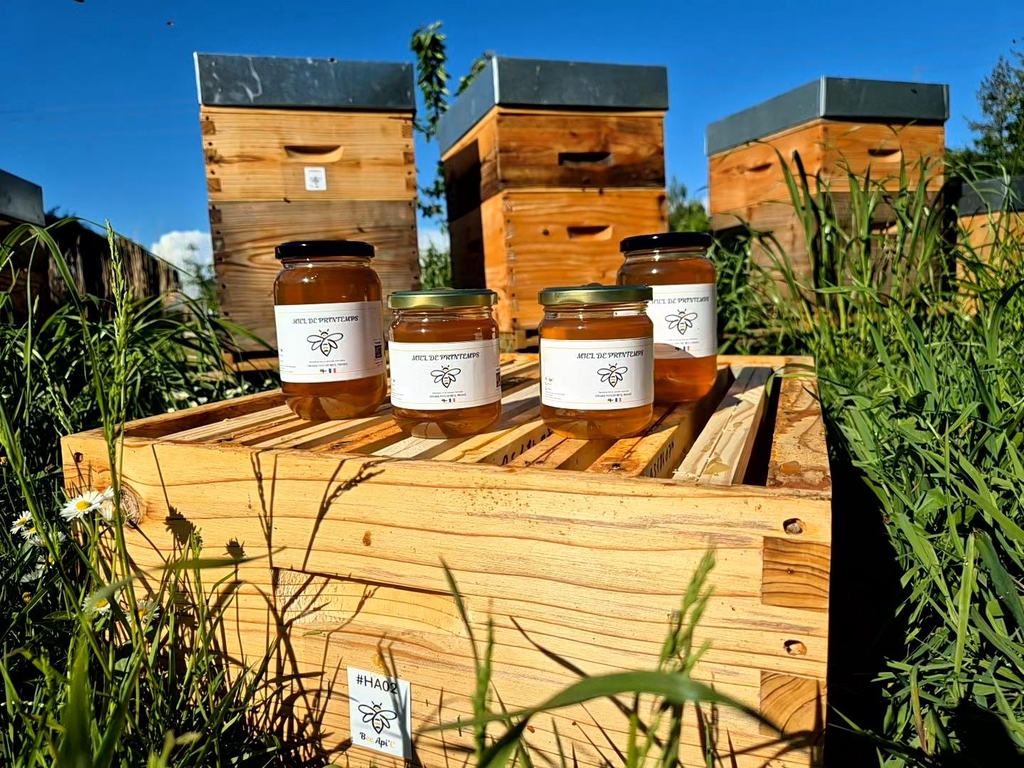 Pot de miel - bee api'c