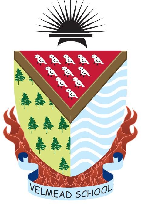 store_logo