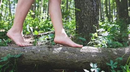 banner_image