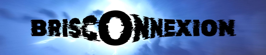 Bannière Brisconnexion