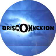 Logo BRISCONNEXION