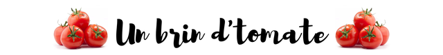 store_logo