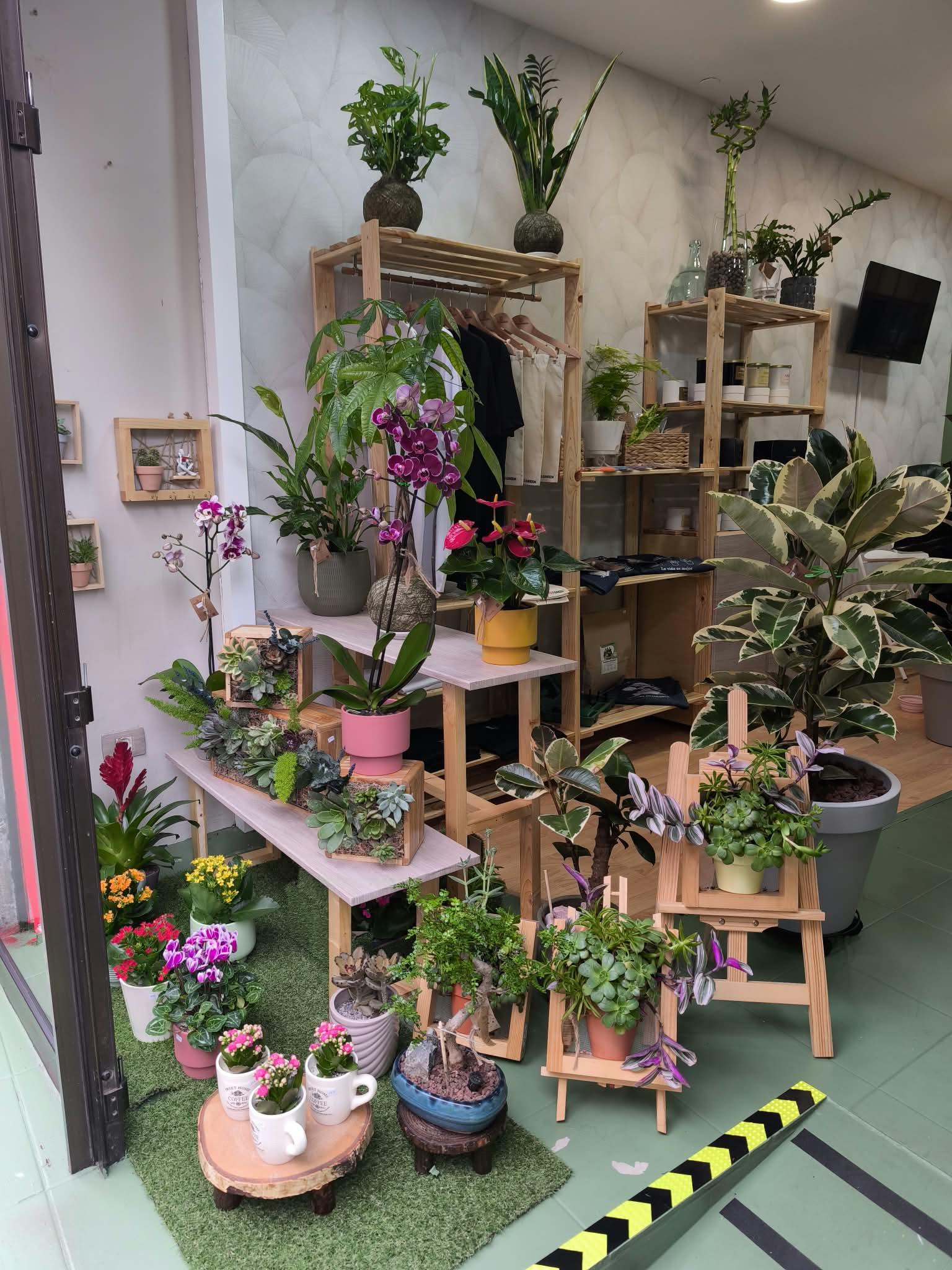 Tienda Plantas y Talleres en La Laguna