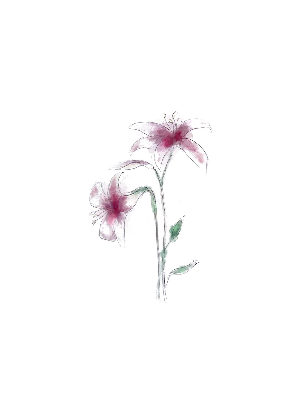 product_list_image_cover