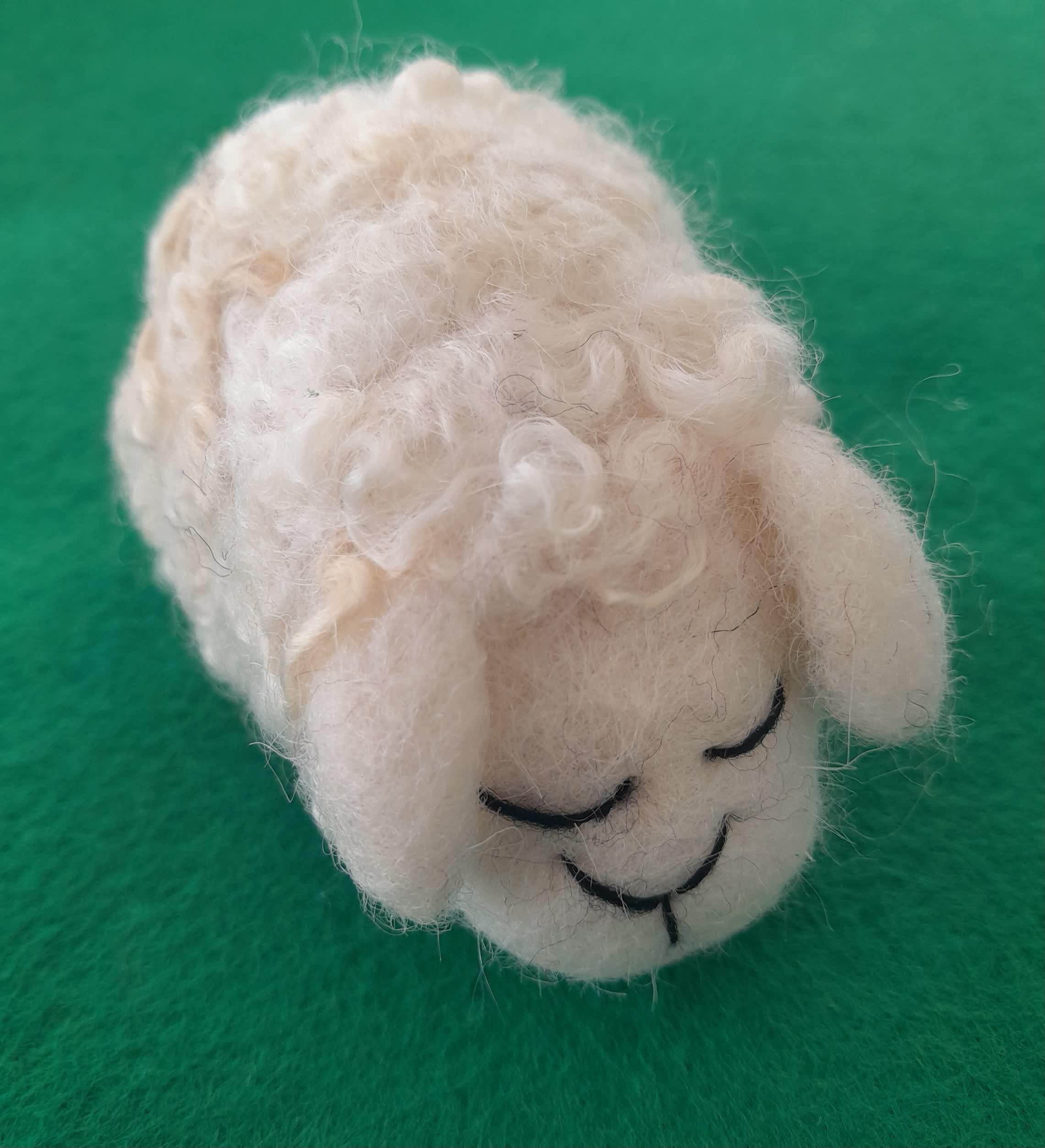 white felted wensleydale wool sheep