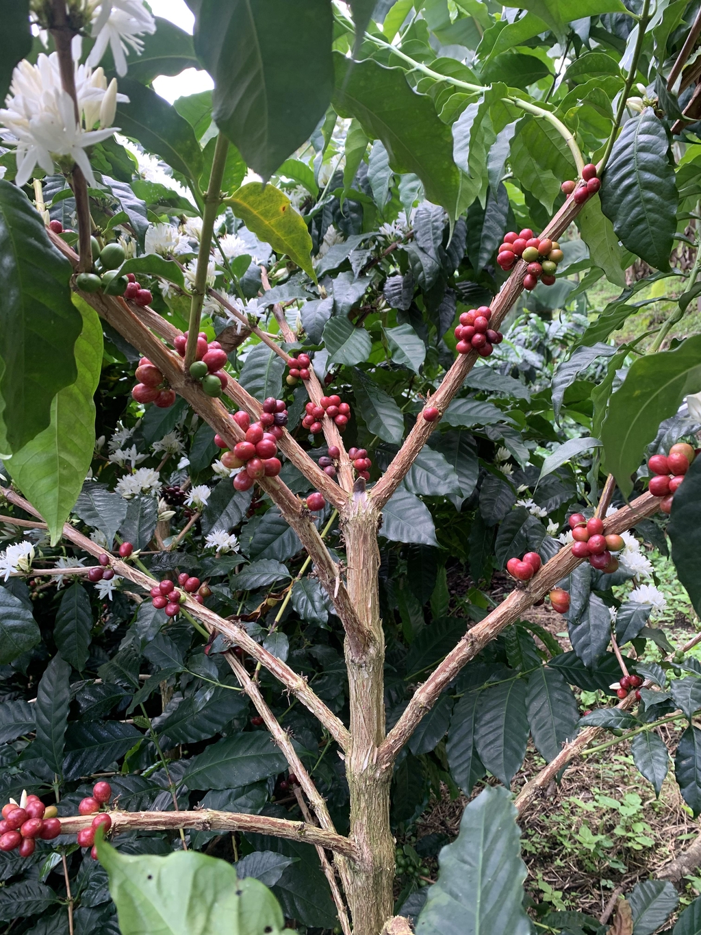 banner_image