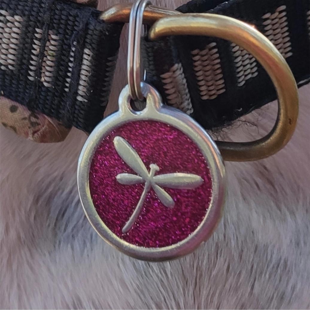 Médaille pour chiens, médaille pour chats, médaille red dingo, médaille en acier inoxydable, émaillée, garantie à vie, médaille solide, médaille incassable, fugue chien