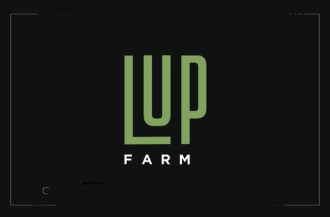 Vendita di Luppolo Italiano e Birra agricola con prodotti coltivati interamente in azienda