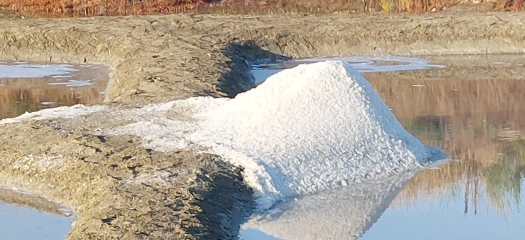 banner_image