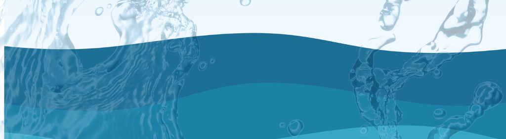 Come and explore the Shape of Water