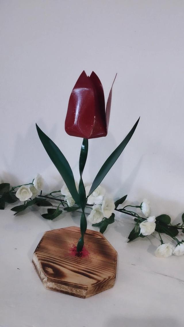 Tulipe