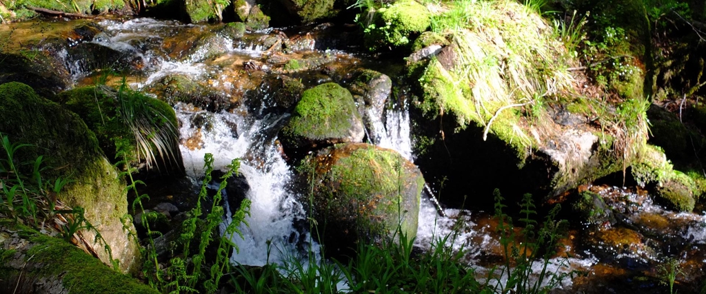 banner_image