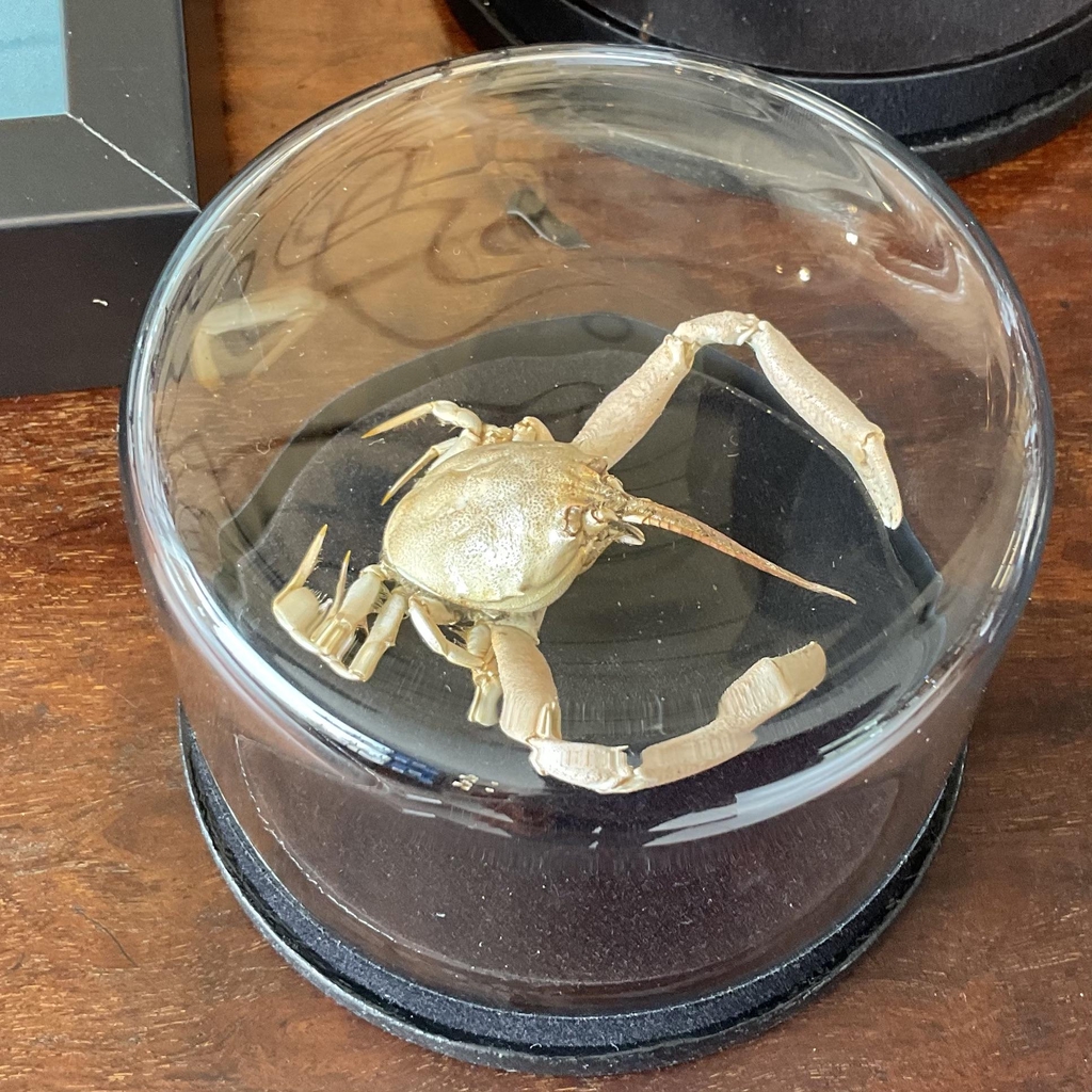 product_list_image_cover