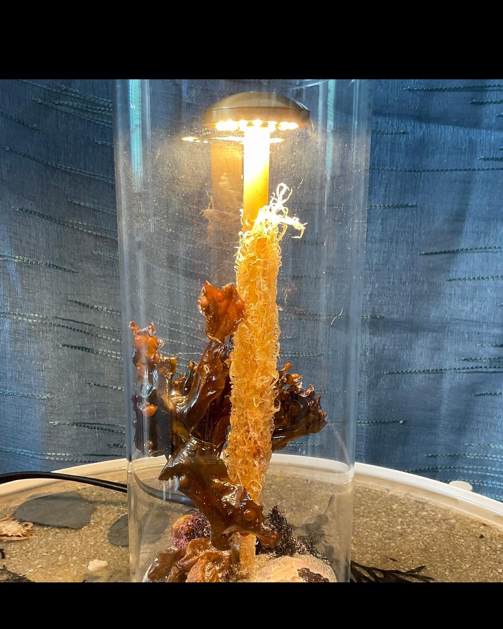 product_list_image_cover