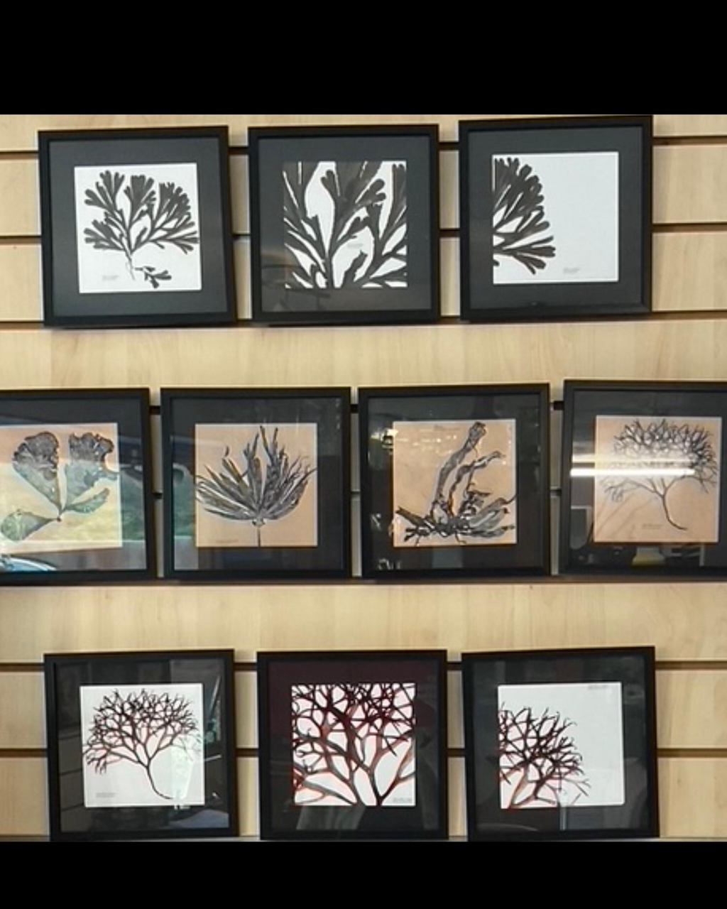 product_list_image_cover