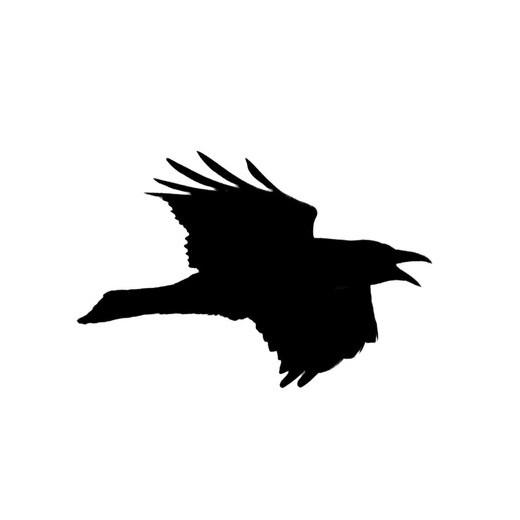 store_logo