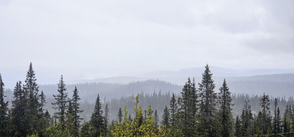 banner_image